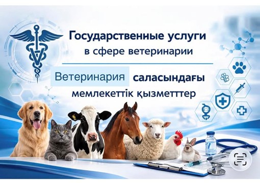 Мемлекеттік ветеринария саласындағы мемлекеттік қызметтер