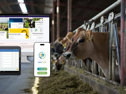 Ветеринария саласындағы ақпараттық жүйелер