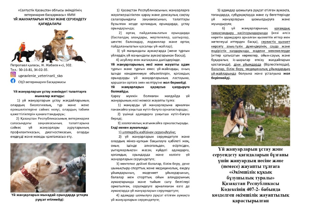 Орыс жыныстық қатынасқа түсу онлайн видео