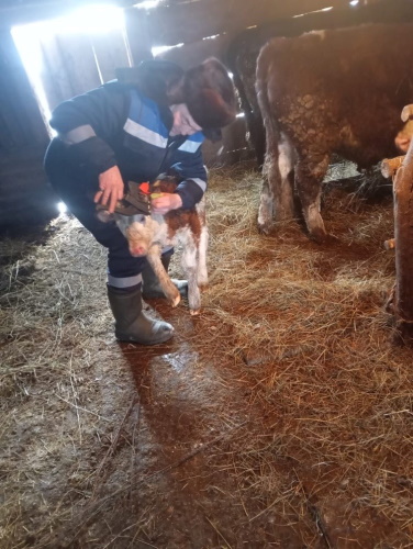 Хабарландыру