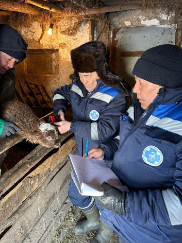 Хабарландыру