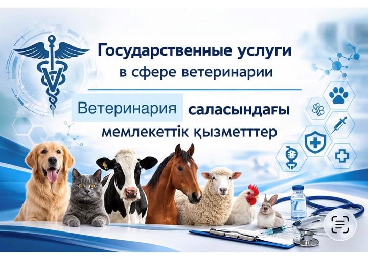 Мемлекеттік ветеринария саласындағы мемлекеттік қызметтер