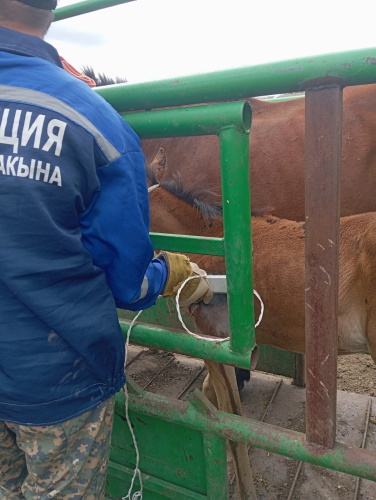 Хабарландыру